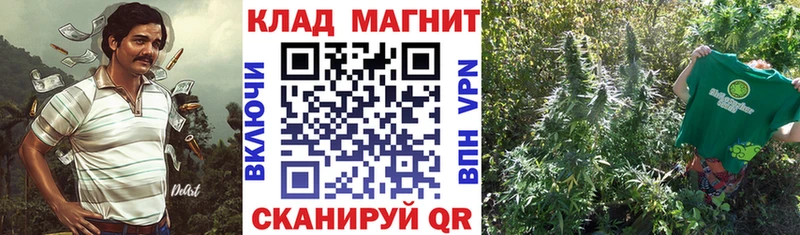 Купить наркотик аптеки Павловский Посад ГАШИШ Бошки Шишки Мефедрон