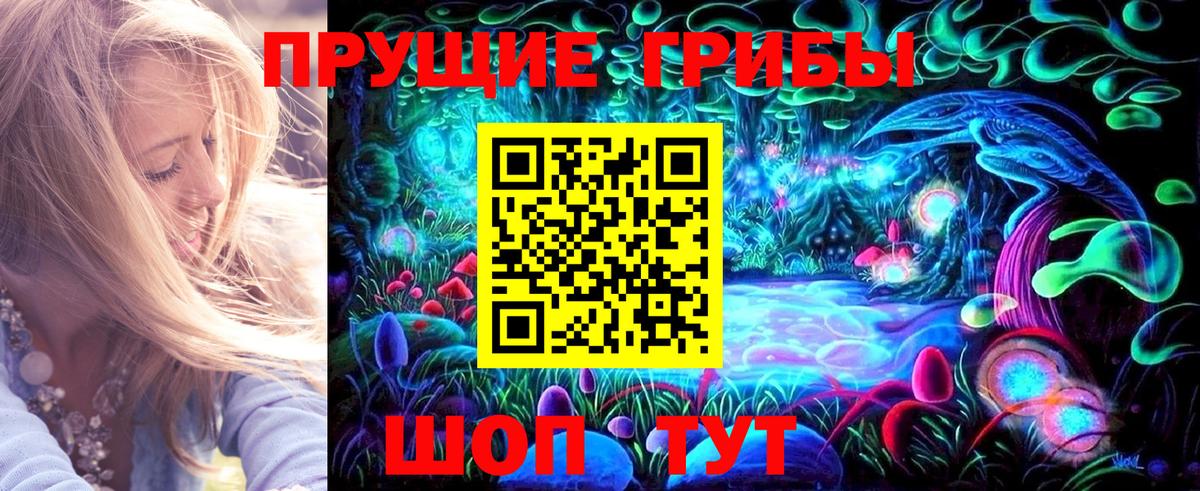 Павловский Посад  Галлюциногенные грибы прущие грибы  Вход с VPN 